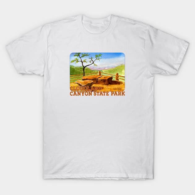 Cloudland Canyon State Park, Georgia T-Shirt by MMcBuck